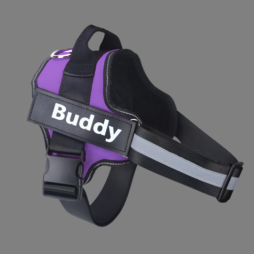 Personalized No-Pull Reflective Dog Harness