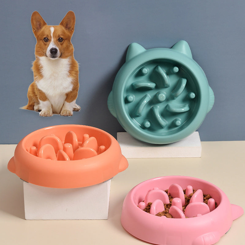 Anti-Choking Slow Feeder Pet Bowl