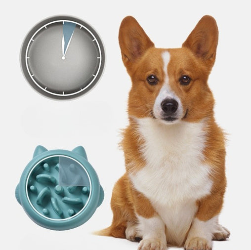 Anti-Choking Slow Feeder Pet Bowl