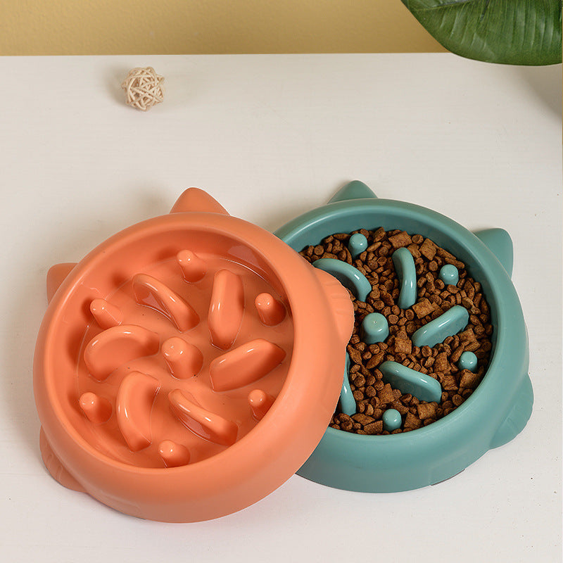 Anti-Choking Slow Feeder Pet Bowl